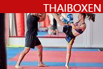 thaiboxen-bild